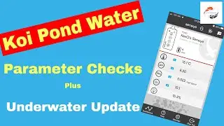 Pond Water Parameter Checks using Seneye, NT Pondlab, JBL Proscan Plus Koi Underwater Update #3