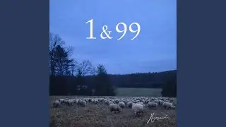 1&99