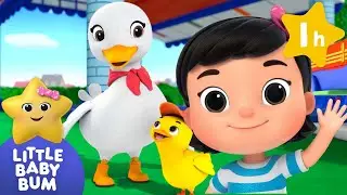 6 Little Ducks | LittleBabyBum | Preschool Songs & Nursery Rhymes