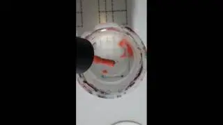 Feather Watermarble
