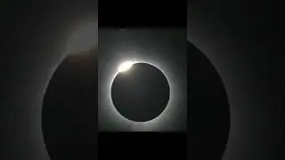 Birds React to Total Solar Eclipse 2024 in Missouri