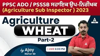 PPSC ADO, PSSSB Agriculture Sub Inspector 2023 | Agriculture | Wheat #2