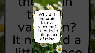 Smart jokes only 🧠✈️