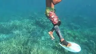 Coron Palawan   Twin Peaks Coral Garden