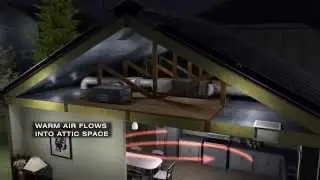 John Francis Leo - After Effects Animator