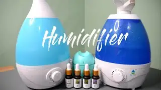 Affordable Humidifier Review