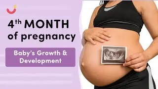 4 Month Pregnancy Baby Movement | Fetal Growth & Development in 4 Months of Pregnancy | Mylo Family