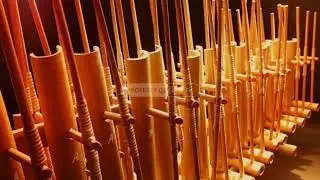 Bamboo & Wind ASMR 🍃 Slow and Calming Movement