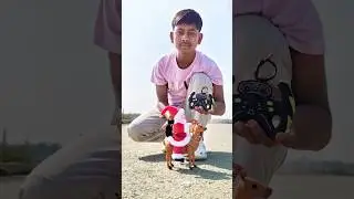 Remote Control 2 Santa Claus Sleigh And Reindeer Gift unboxing #testing