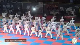 Nos élèves à la Nuit des Arts Martiaux : Un spectacle incroyable ! 🎭🥋✨