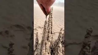 Drip sandcastle #oddlysatisfying #sandcastle #satisfying #beach #sand