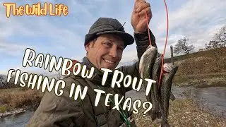 Fishing for Rainbow Trout in Texas Hill Country? I had NO Idea! (Catch, Clean & Cook)