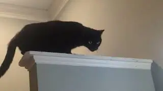Salem's hangout
