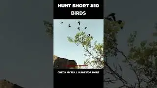 Birds - Hunt Showdown Short - #shorts