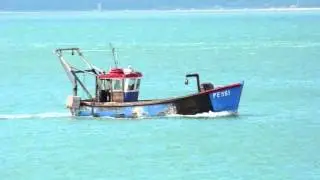 Ship Movements