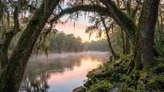 Deep Sleep Piano Music with Nature Sounds 🌙 Instant Relief for Insomnia & Anxiety