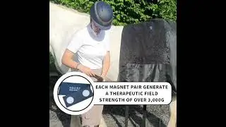 Magnetic Therapy Rug for Horses by Equine Balance