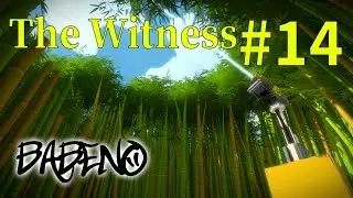 Witness #14 - Прогулки по лесу