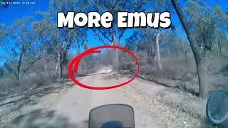 Great Ocean Road and Murray River Trip Nov 26