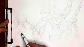 Feng Zhu Reference Timelapse