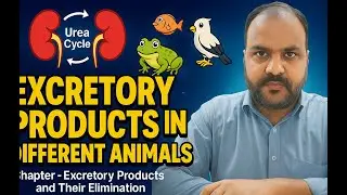 excretory products and their elimination I Gyanendra Kumar I Lecture - 1