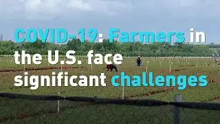 COVID-19: Farmers in the U.S. face significant challenges