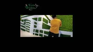 Large Moss Wall  #firstgarden #landscape #mossdesign #mosswall # #aestheticroomdecor #plantwall