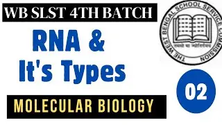 Batch#3// Molecular biology part#2// RNA & it's types