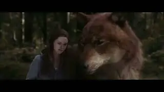 Twilight wolves ~ call to the wild