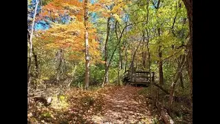 Hiking: Fall Leaf Color at Ouabache State Park, Trail #5, South of Fort Wayne, Indiana