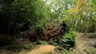 A gap in the woods. Somewhere in Raleigh...