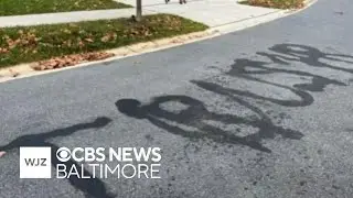 Maryland man pleads guilty to write 