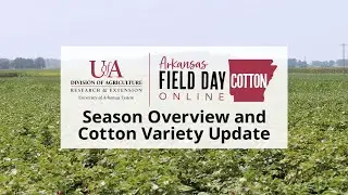 Cotton Field Day Online - Season Overview and Variety Update