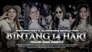 DJ BINTANG 14 HARI TRAP SAD PARTY FYP TIKTOK ALDIIHANDZ RVLTN