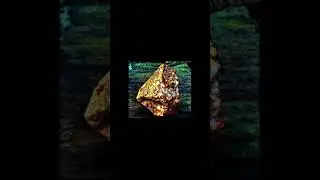Prehistoric hand axe/story stone