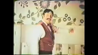 2 Pringles Commercials with Lennie Weinrib (1973, USA)