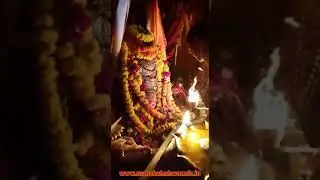 Snehal  Arts