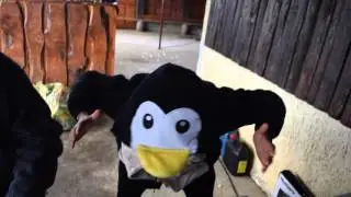 2ème callage Tek brûlée / 51 Mazotek (16-17/04/2016)