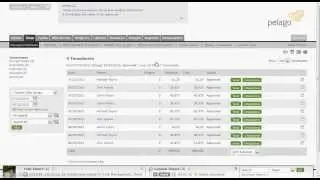 Intervals Video Tour - Timesheet Approval