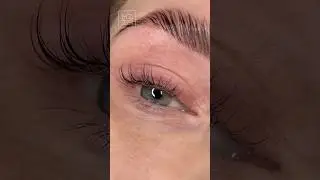 Aplikace řas - lepidlo Zola #lamination #lashes #lashlifting #lashtutorial