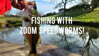 | Creek Fishing For Bass With Zoom Speed Worms! | Shaky head