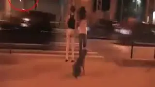 Sensible kid during the road cross