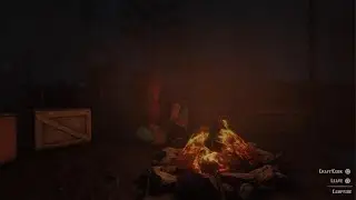 Red Dead Redemption 2 Realistic Night Atmosphere