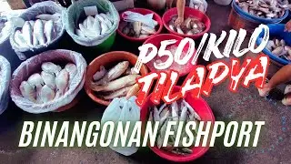 Binangonan Fishport 2026 P50 per kilo Only ang Tilapya sa Binangonan Rizal