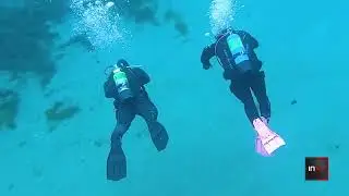 Exploring an ancient sunken forest found at the bottom of a lake