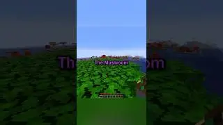 Minecraft&rsquo;s ACTUAL Rarest Biome...