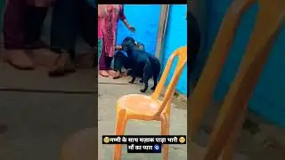 मम्मी के साथ मज़ाक पाड़ा भारी #india #viral #prank #youtube #youtubeshorts #trending#ytshorts #views