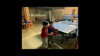 503. Table Tennis Training at Home: Table Tennis Brothers and Sisters 桌球兄妹