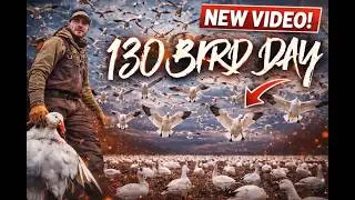 Snow Goose Hunting- HUGE RAINOUTS