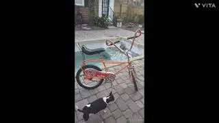 buzz buggy 1969 muscle bike
